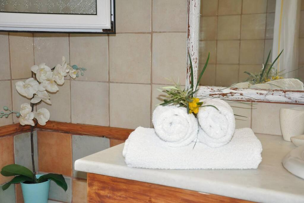 Villa Erietta Near Lefkas Center Apolpaina 外观 照片