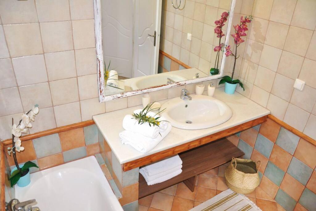 Villa Erietta Near Lefkas Center Apolpaina 外观 照片