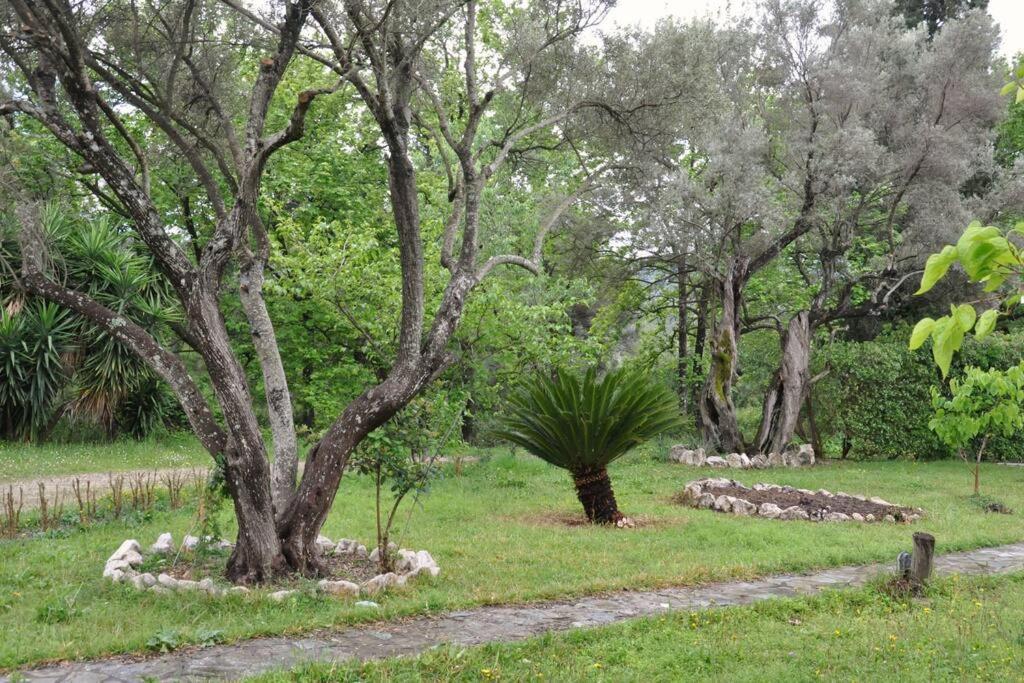 Villa Erietta Near Lefkas Center Apolpaina 外观 照片